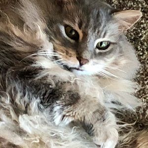 Meet your Posher, Angela